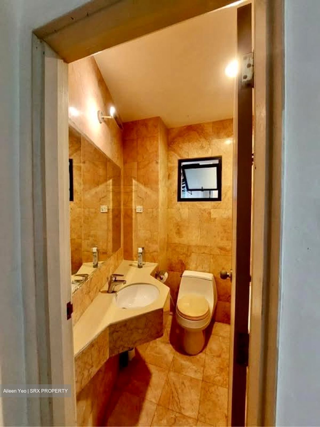 Nineteen Shelford Road (D11), Condominium #566266481